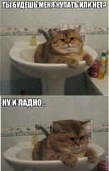 Жирный кот :)