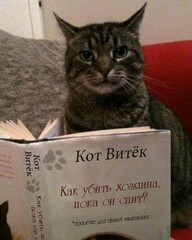 Котэ...