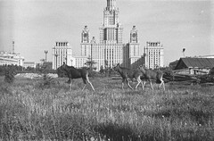 Москва начало 60-х