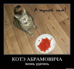 demotivatory Cat F It ru80