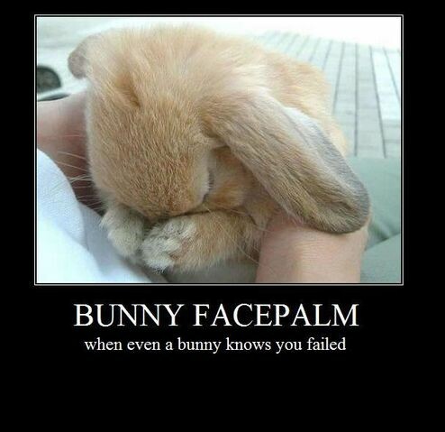 Bunny_facepalm_by_shlj23-d4s3yaj.thumb.j