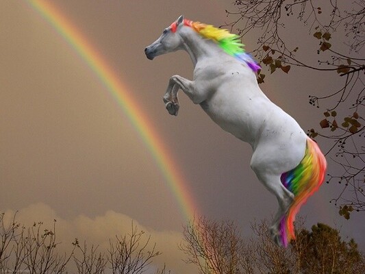 rainbow-horse-2224x1670-wallpaper.jpg