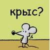 Kadisko